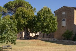 Letnia Szkoła Kaligrafii Perugia