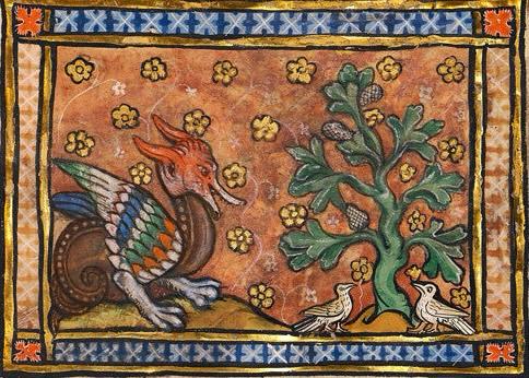 Warsztaty kaligrafii w Perugii 2026